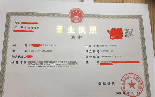 佛山企业在广州海珠区设立新公司 专业代办教育类注册服务全攻略